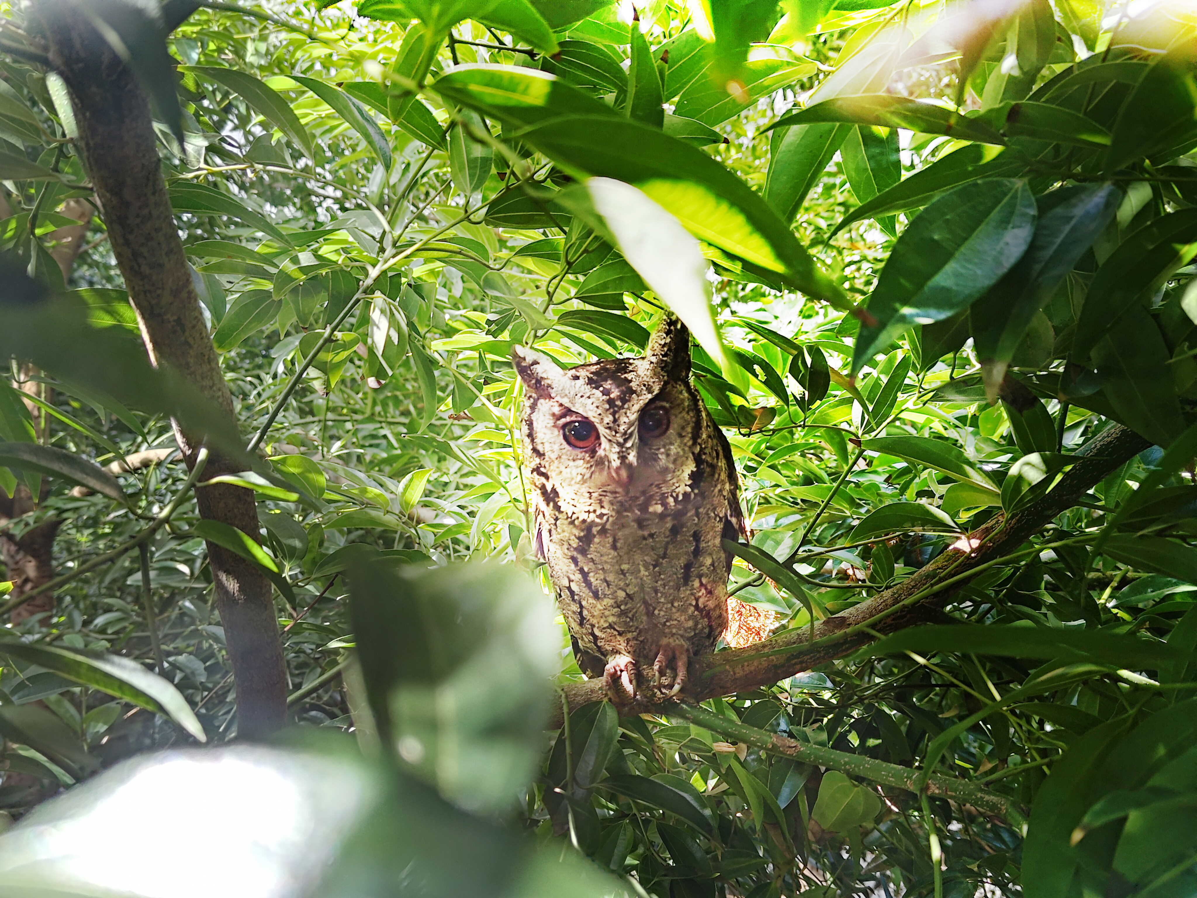 zoty中欧致力提倡净零绿生活，16年以来在全球各厂区植树逾百万棵，造就各厂区树木蔚然成林，犹如森林工厂，成为许多生物的栖息地